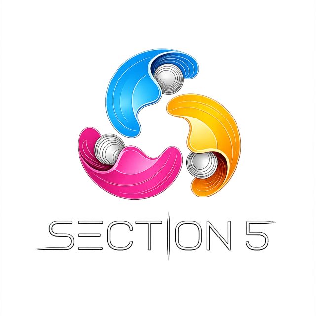 Section 5