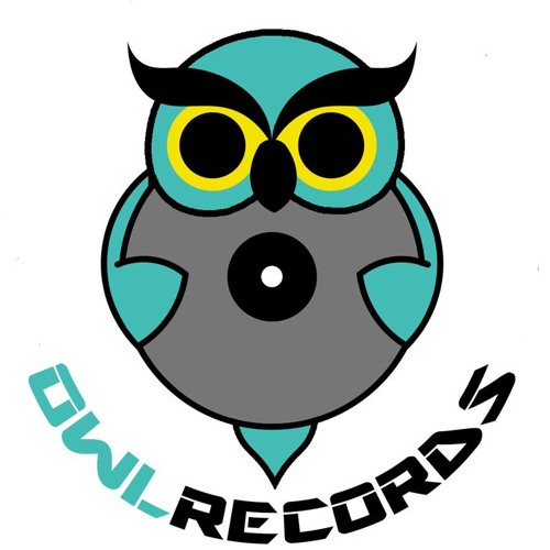 Owl records