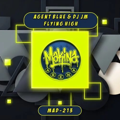 Flying High