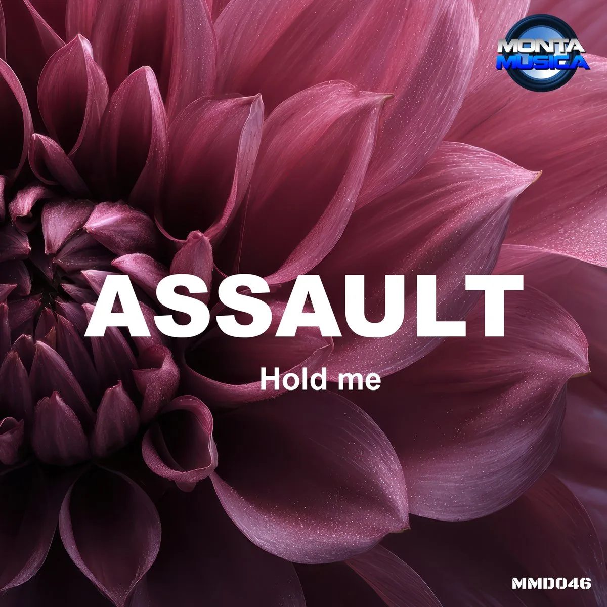Hold Me