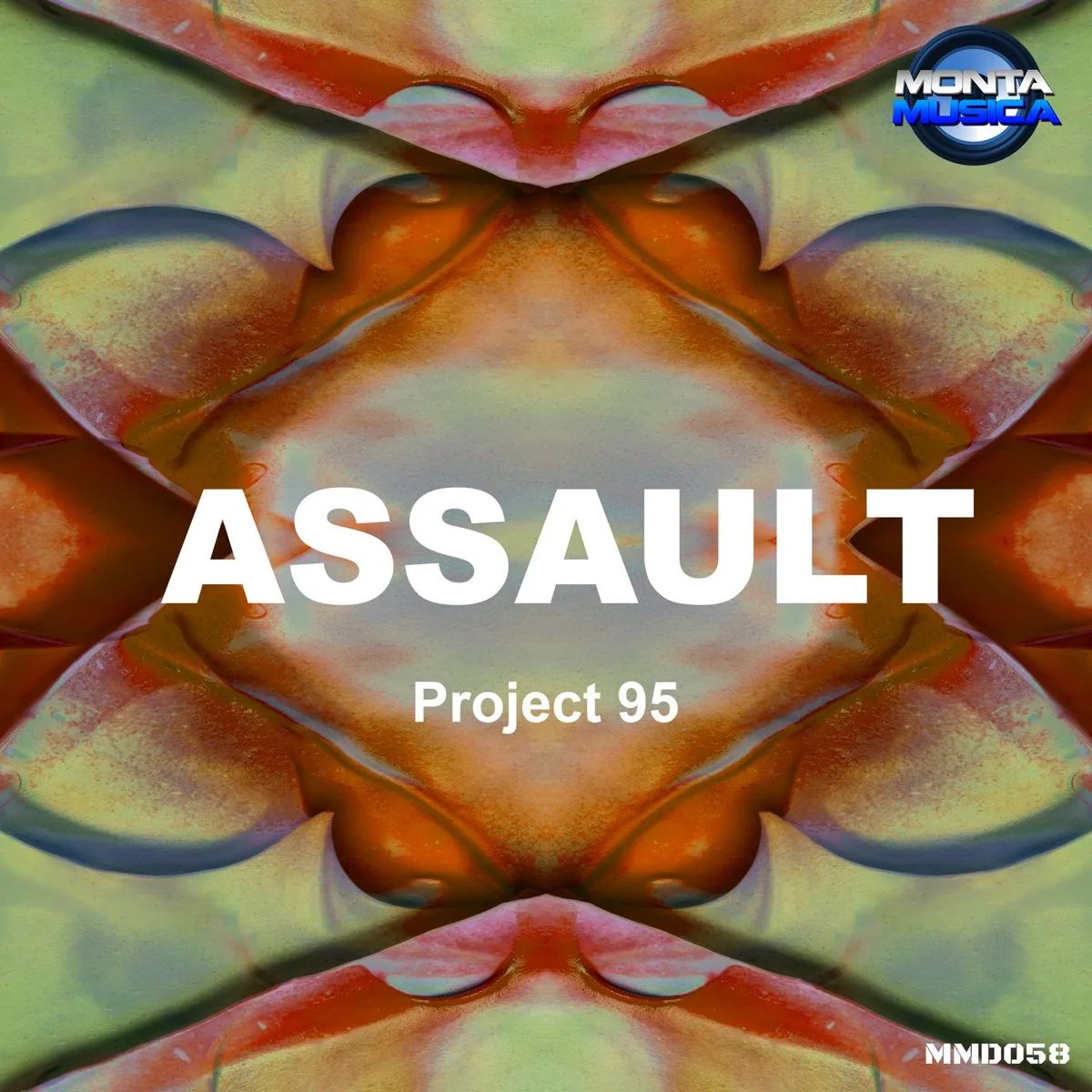 Project 95