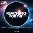 Reaching For The Moon (Club Mix)