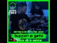 Buffon & Gato - Amics de la Makina T3