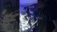 DJ FLA b2b BENICAT in Live