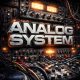 Analog System