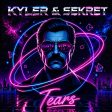 Tears (DJ Sekret & DJ Kyler Remix)
