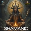Shamanic