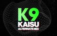 Kaisu (Alternate Mix)