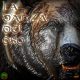 La danza del oso