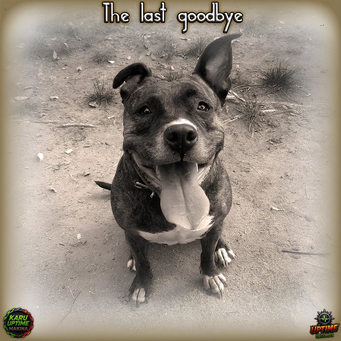The last goodbye