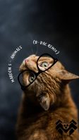 Animals (D-dac Remix)
