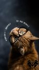 Animals (D-dac Remix)