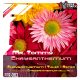 Chrysanthemum (Original Mix)