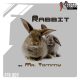 Rabbit (Original Mix)