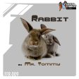 Rabbit (Radio Mix)