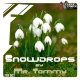 Snowdrops (Original Mix)