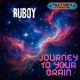 Journey To Your Brain