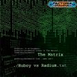 The Matrix