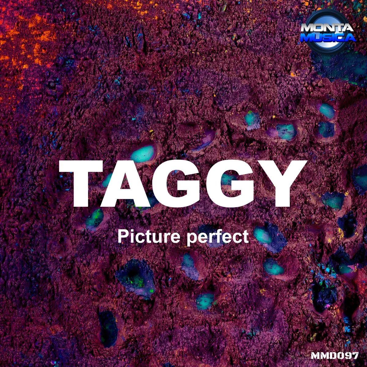 Picture Perfect