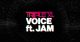 Voice
